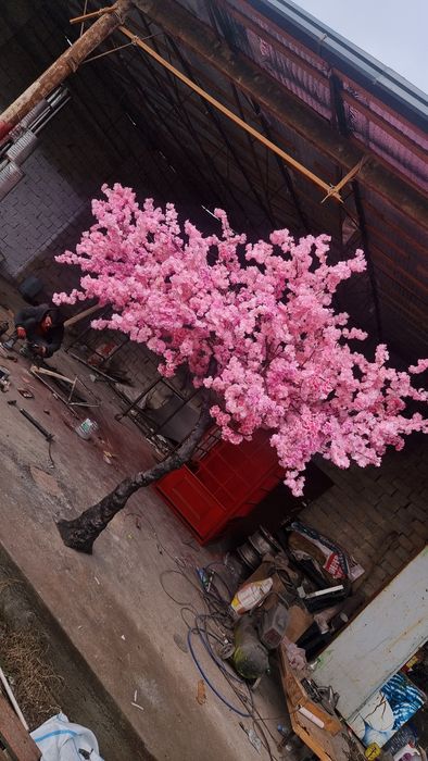 Дарахтлар сакура хар хил йасаб берамиз