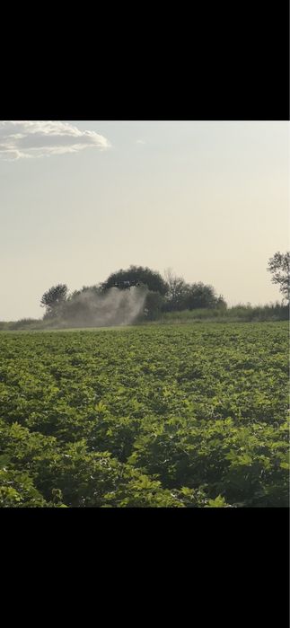 DJI Agras T40 дрон (б/у) агродрон продается срочно