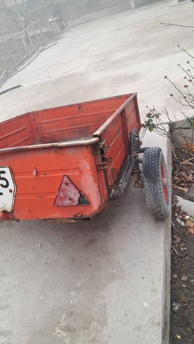 Moshina prsepi holati ortacha