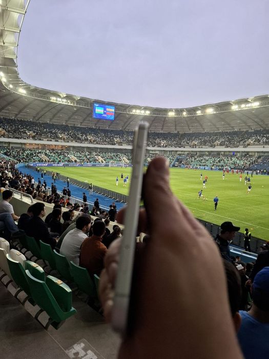 iPhone 17 Pro Max Silver 100%