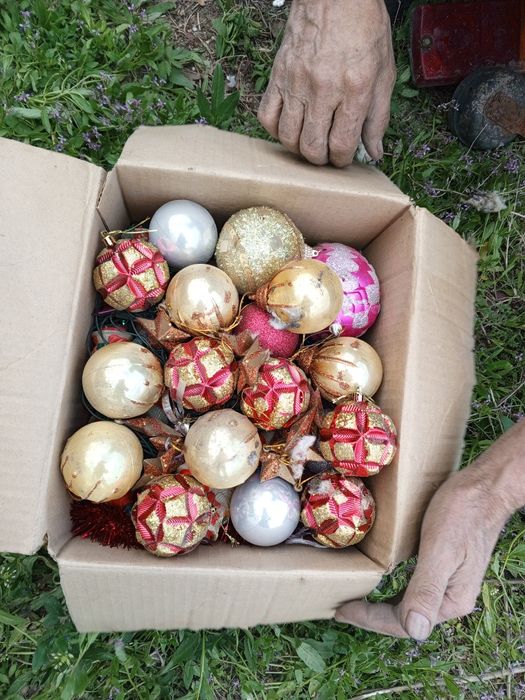 Отдам даром бесплатно