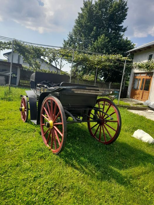 Vand trasura,doi cai!