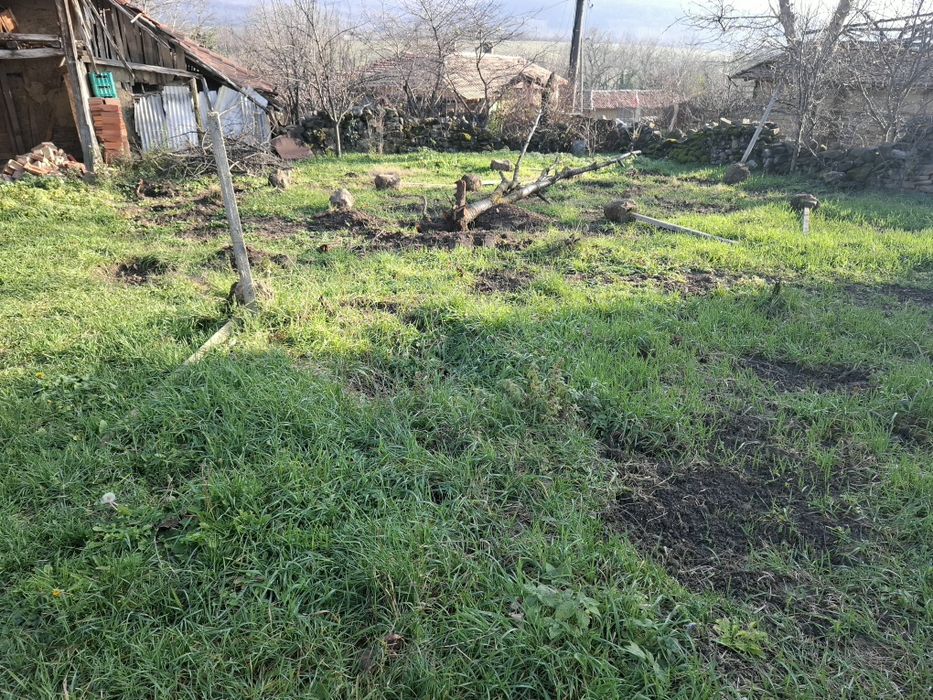 Продава се Къща в с. Плаково, Област Велико Търново - 583 кв.м за 88 €/кв.м - Снимка #7