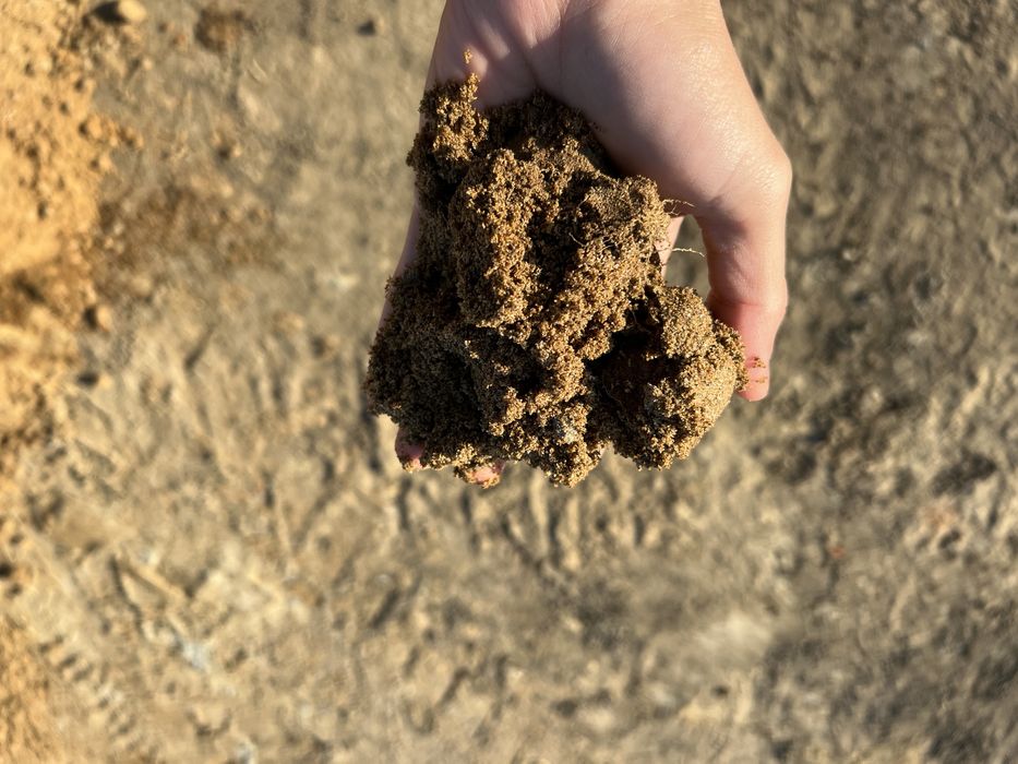 PAMANT NISIPOS pentru gazon