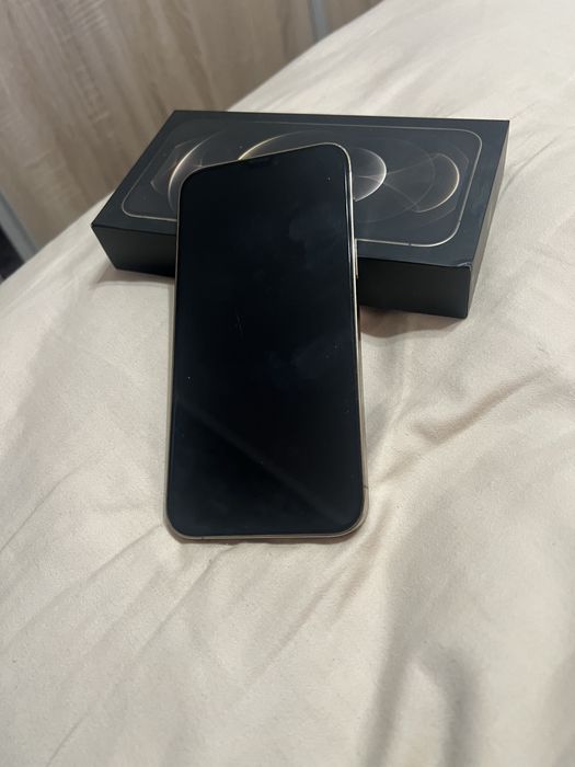 Iphone 12 Pro Max 256 Gb