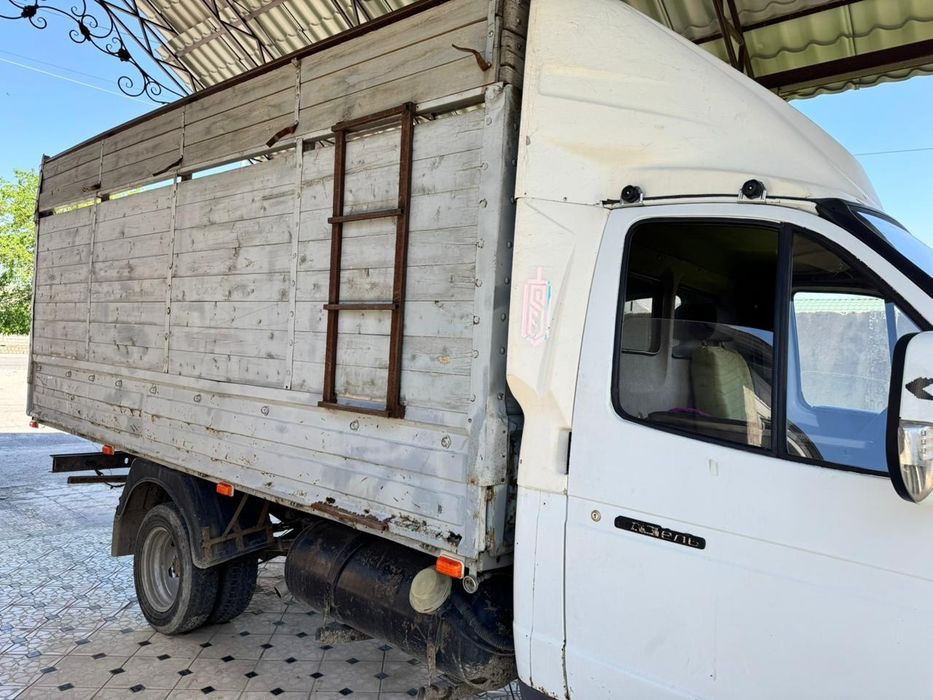 Газел либои зат тасисың
