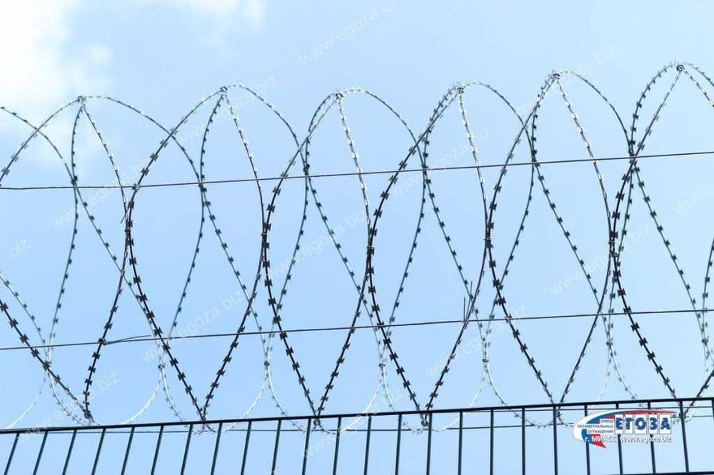 Егоза Спиральный барьер безопасности СББ