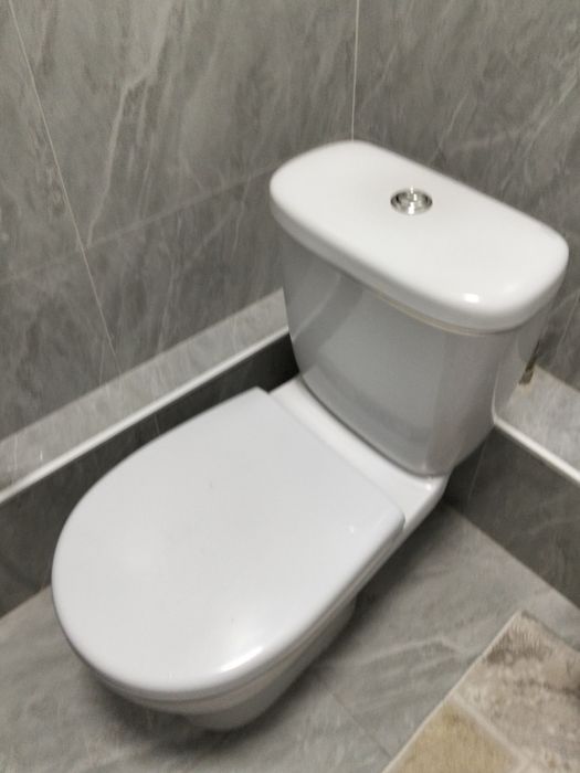 Унитаз туалет...