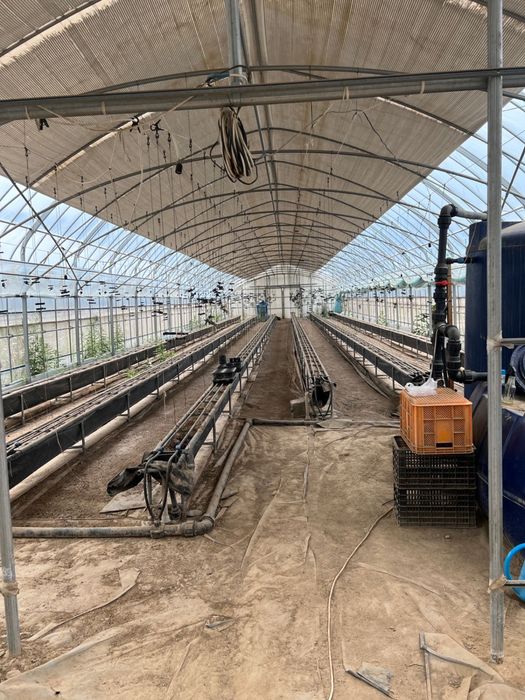 Продам Типлицу тепличный комплекс