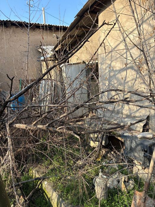 Яшнабадском районе