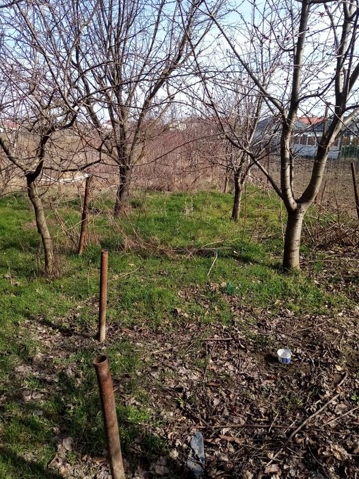 Teren de vânzare comuna Clinceni