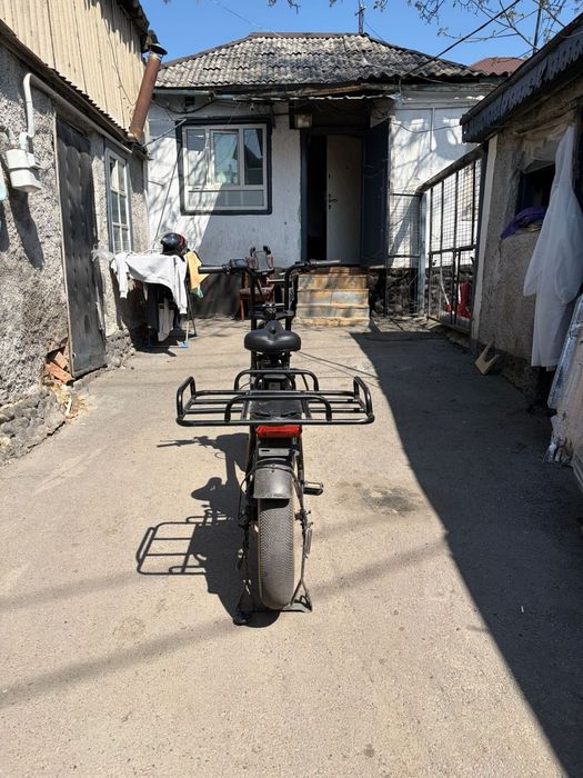 Электро велик леопард