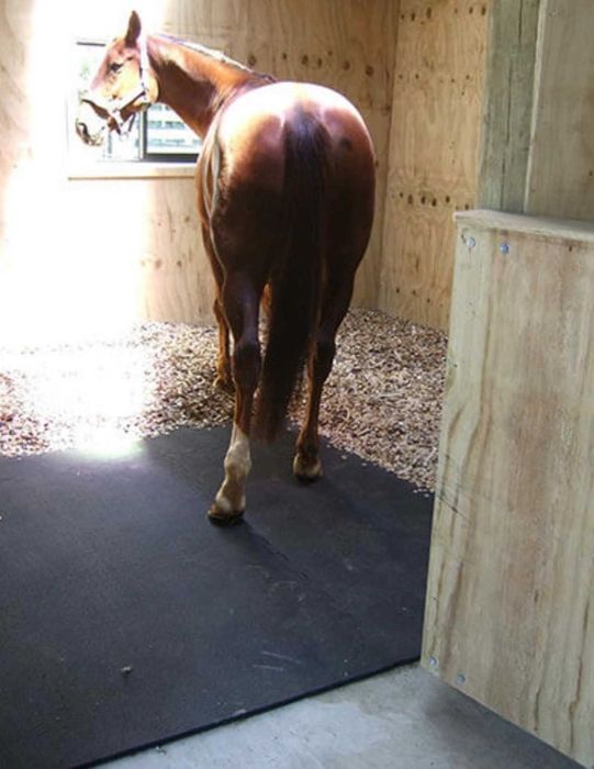 Banda de cauciuc pentru animale, boxe de cai la cel mai bun PRET