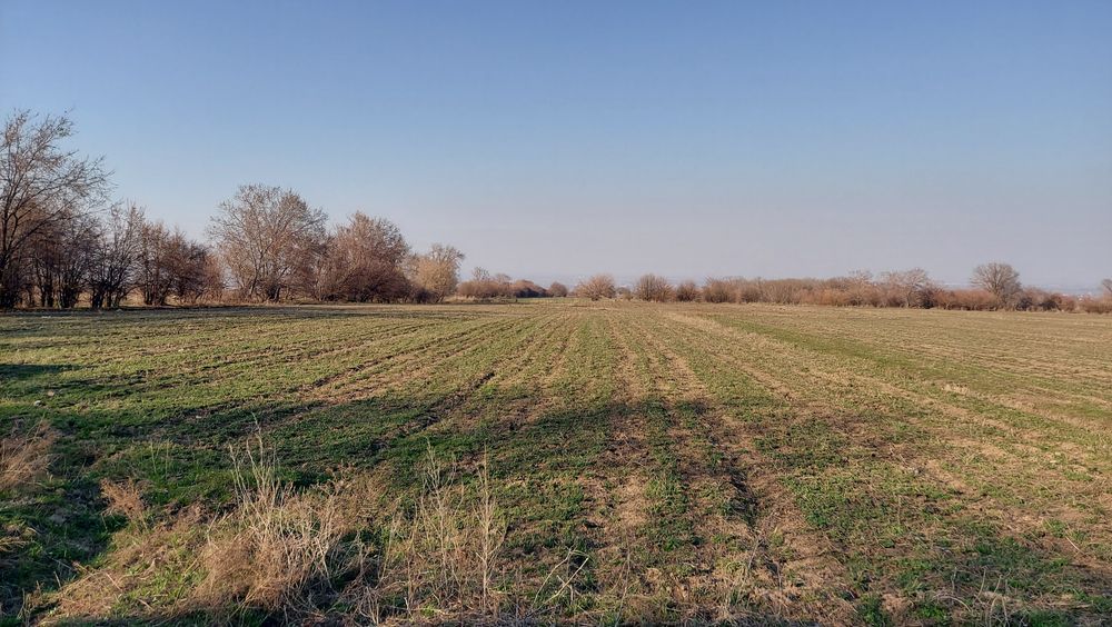 Участок в Аренду