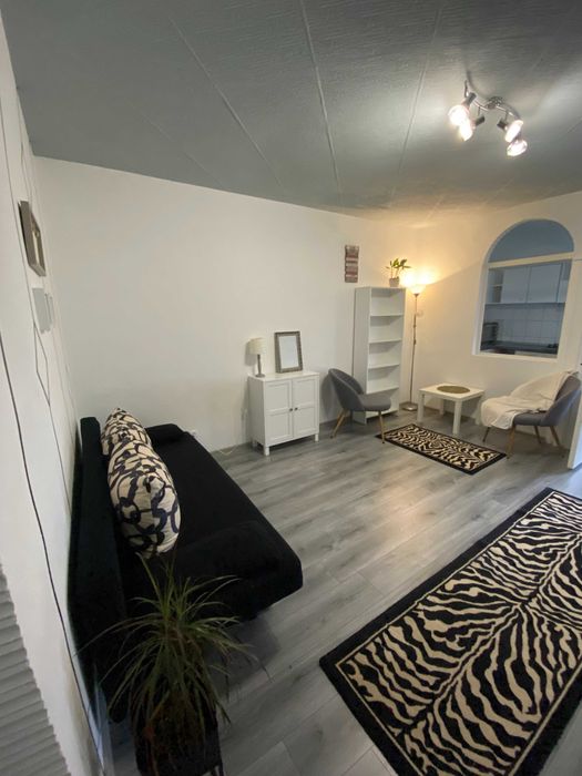 Apartament o camera Cantemir, Salca