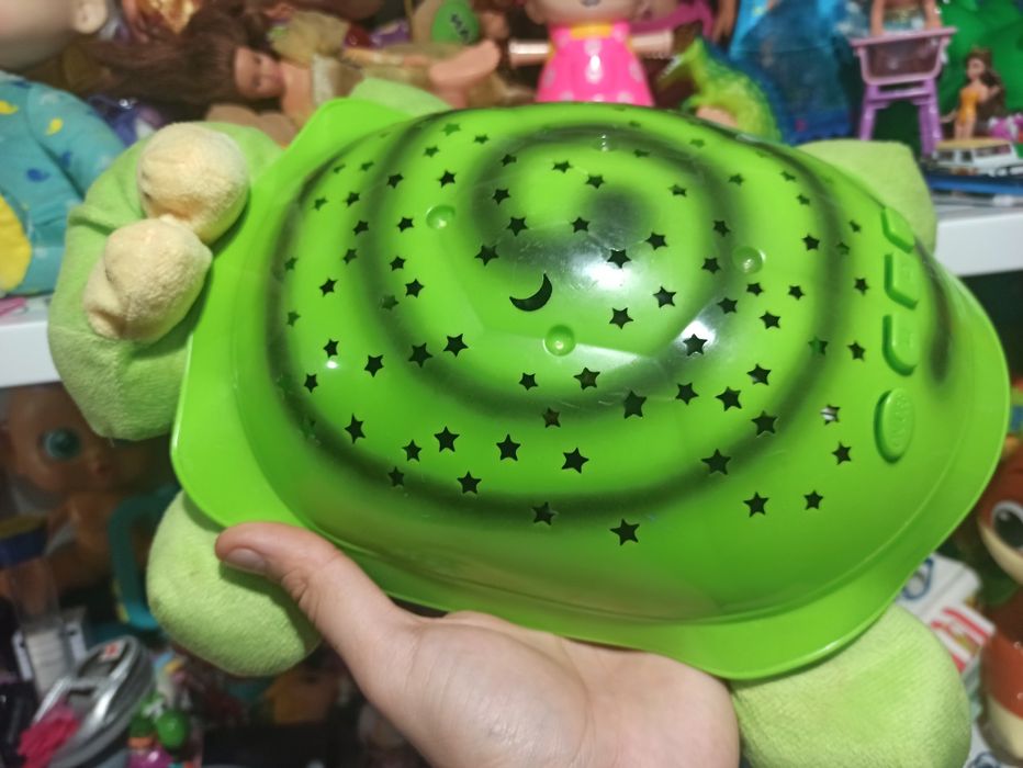 Lampa de veghe , testoasa