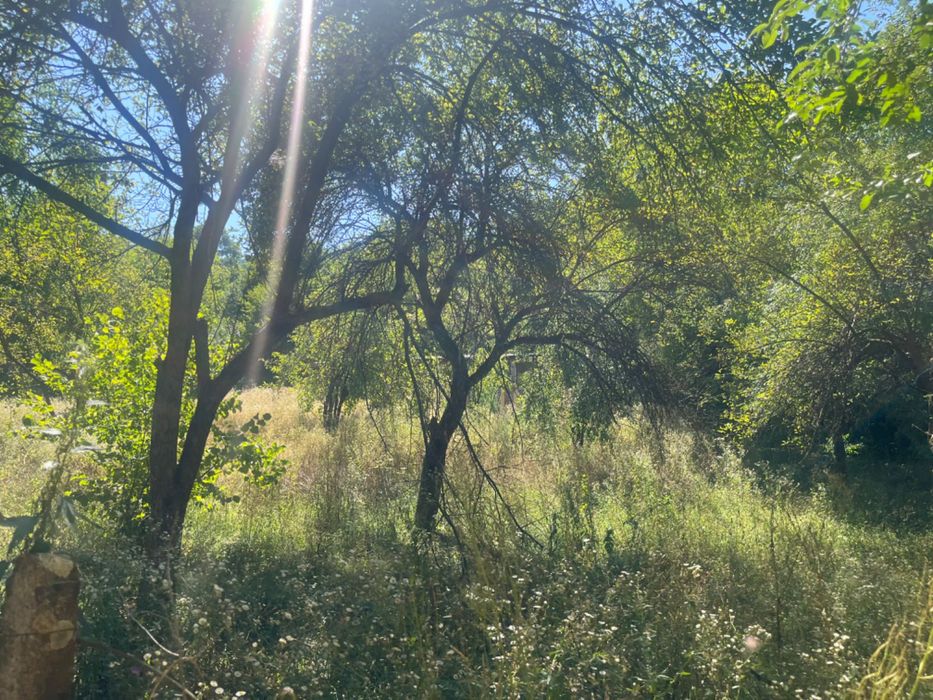 Продава се Парцел в София, Обеля 1 - 1025 кв.м за 40 €/кв.м - Снимка #6