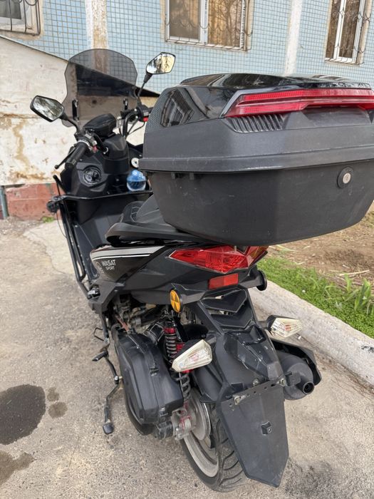 Wasat sport skuter | скутер | мопед | васат | sikuter | sketur | moto