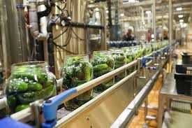 консервный завод