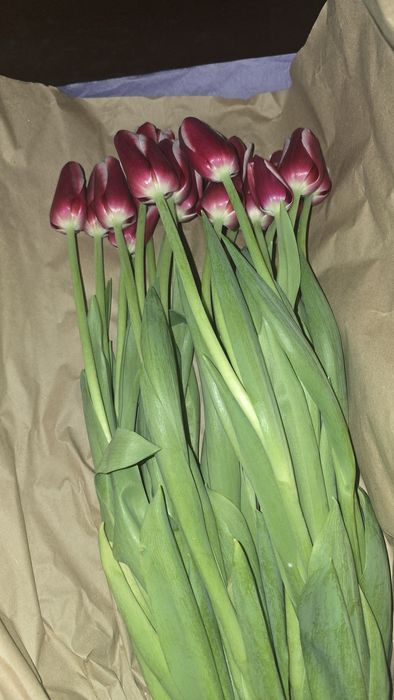 Букеты из тюльпанов