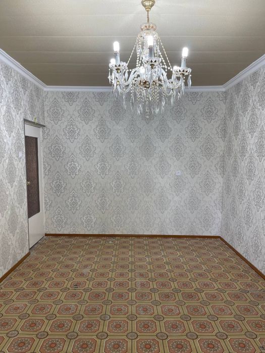 Qora qamish 2/4  da 3/3/5