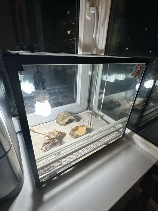 Террариум для геккона