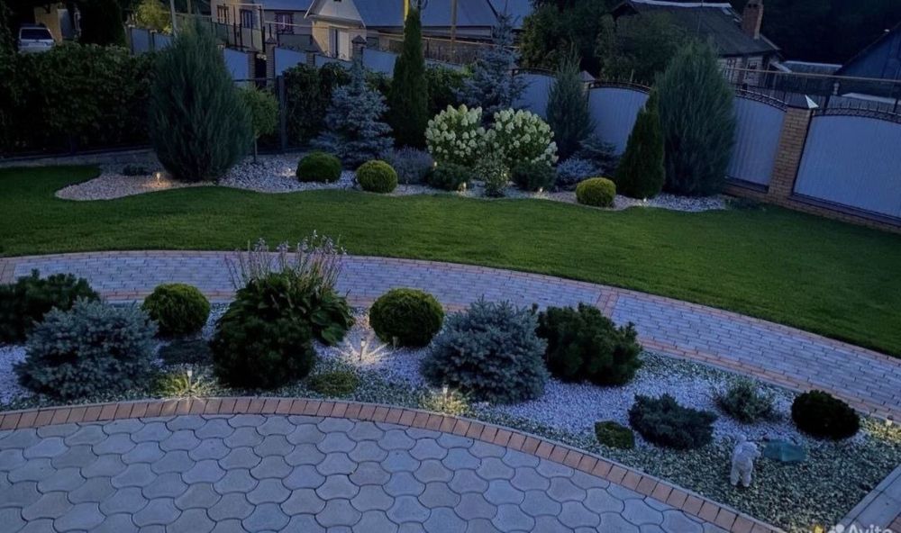 Ель    липа    газон саженцы