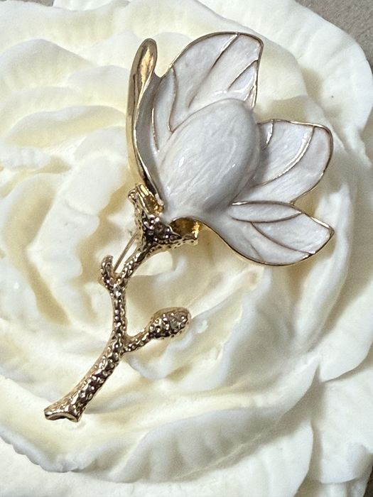 Различни модели брошки