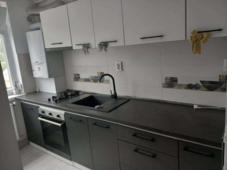 Apartament 1 camera Precista