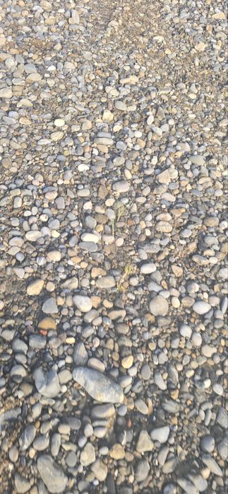 Карер сотилади, срочно