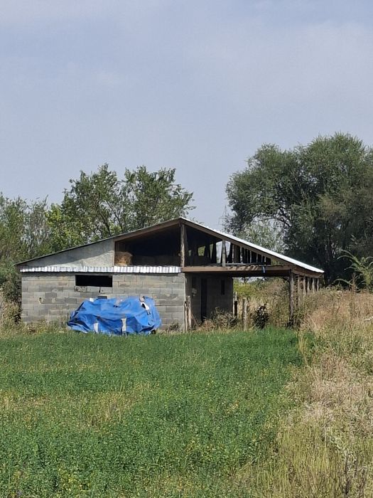 Фазенда 55 соток