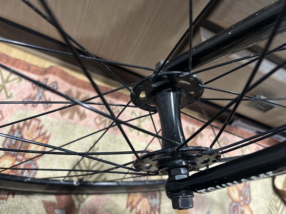 Aventon Mataro Low fixed gear