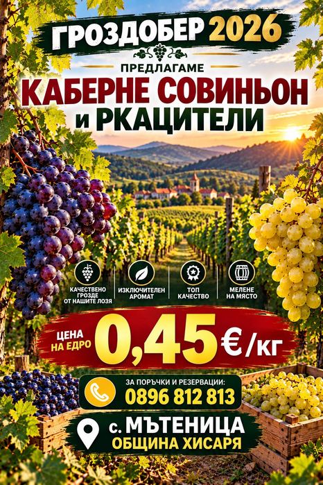 Продавам грозде- Мускат- Тамянка, Каберне Сувиньон, Мерло, Ркцители
