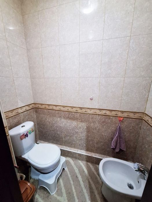 Себзор закс 2/6/9