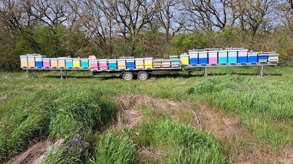 Platforma apicola pentru 40 de stupi