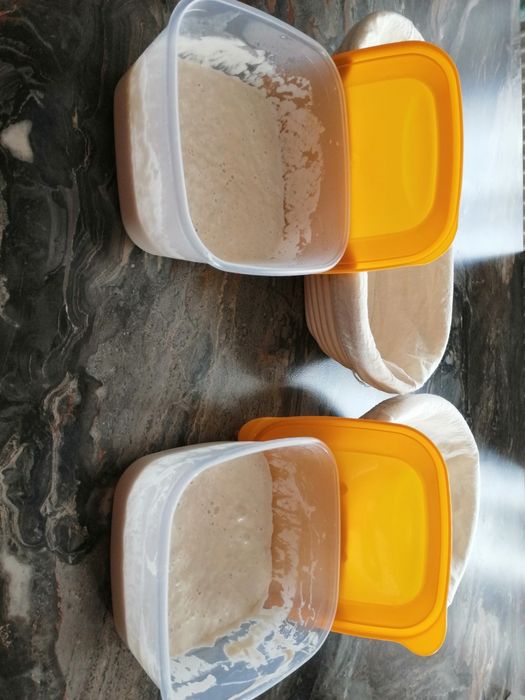 Vând maia naturala fără drojdie, pentru pâine, cozonac și aluaturi