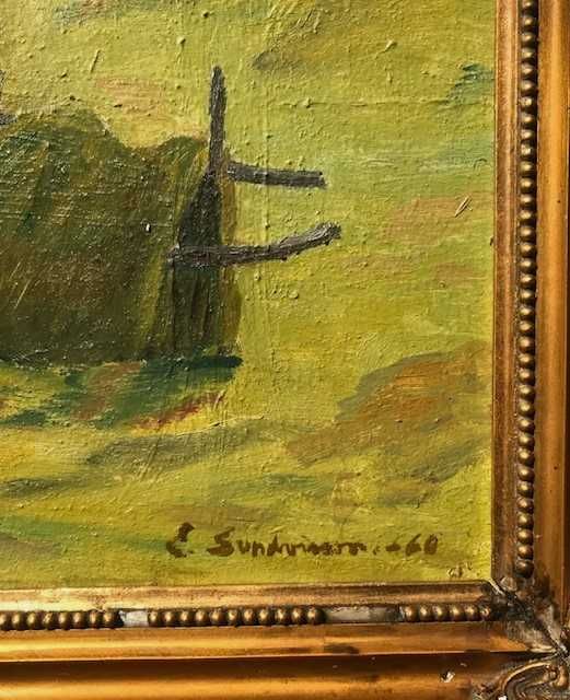 Scoala maghiara. U/pz 50 cu 35 cm +r . "COLIBE"