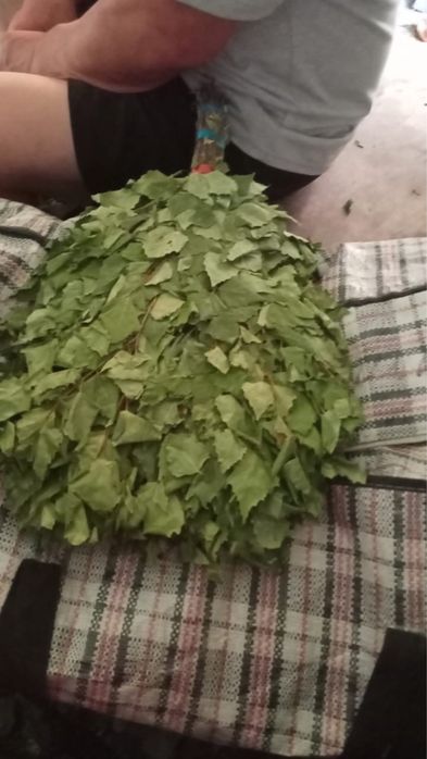 продам веники за 1000тг