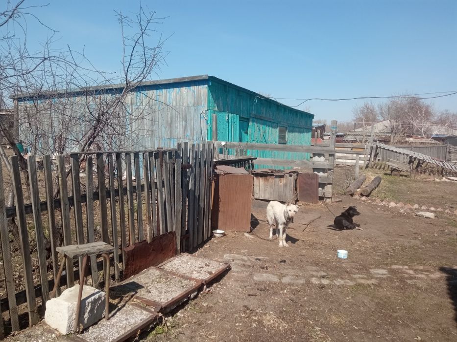 Продам дом, село Ефремовка