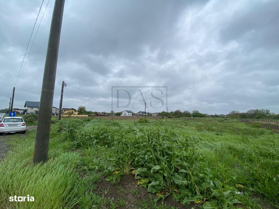 Teren intravilan | 3993 mp | Ciorogarla, Ilfov | Utilitati