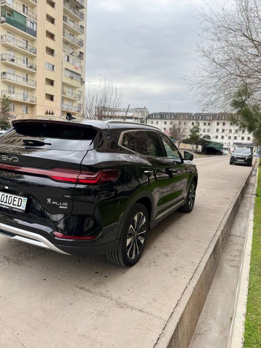 Byd champion 2025 full