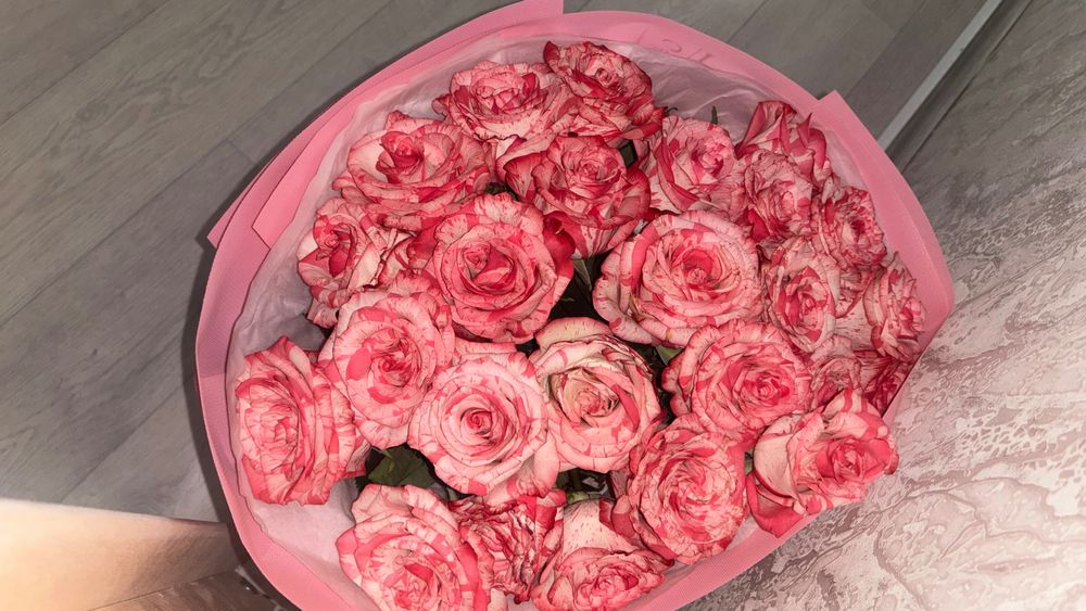 свежие розы розовые