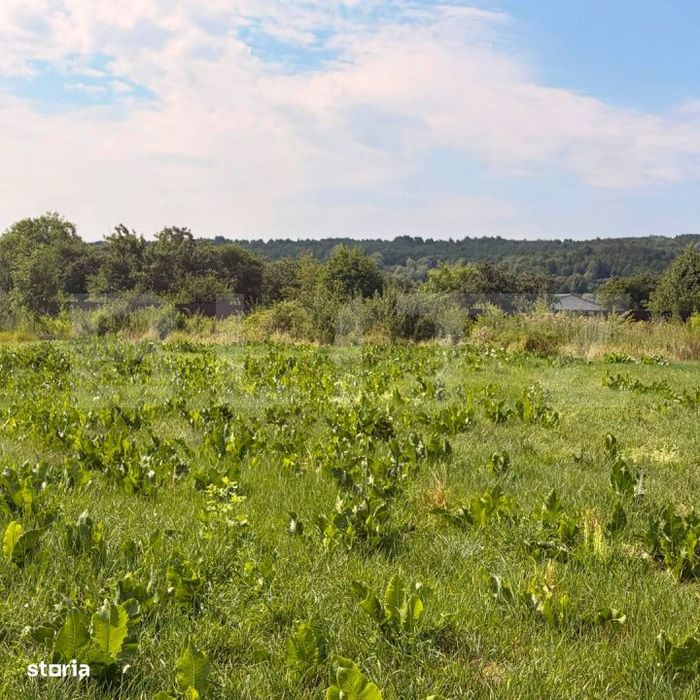 Teren intravilan in Bogdanesti, 3600 mp, zona Profi