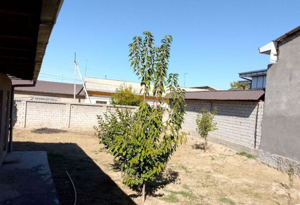 Яккасарой Ракат Махалла куча Юзи 1 ления 3 сутик учаска Сотилади.