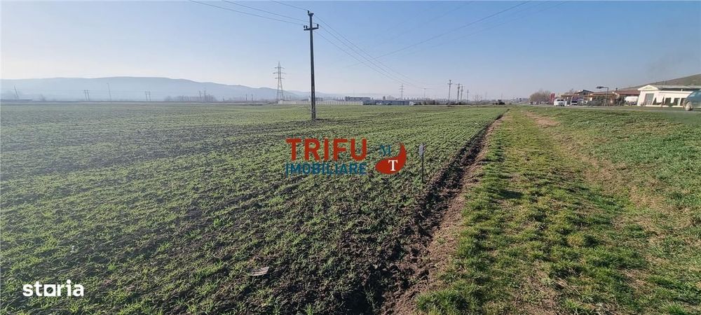 Teren industrial 11600mp la DN1
