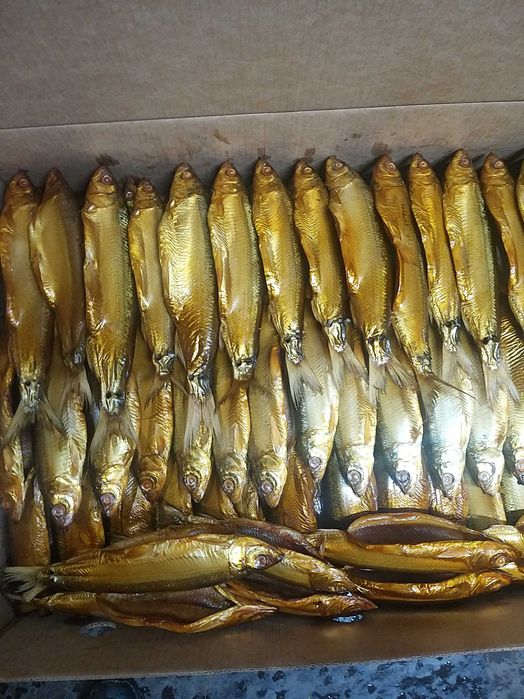 пеледь Боровое горячего копчения