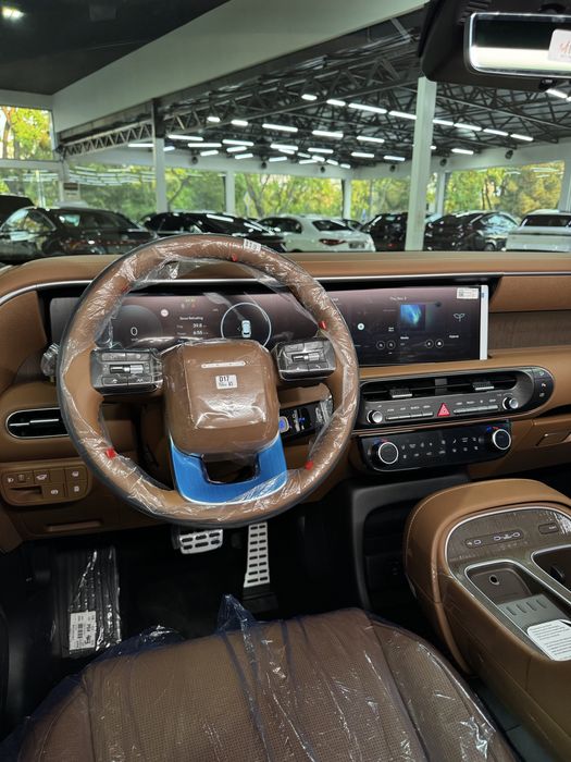 Hyundai Palisade Hybrid Calligraphy