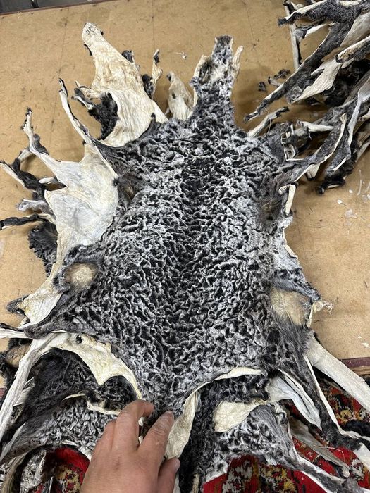 Антика терилар сотилади