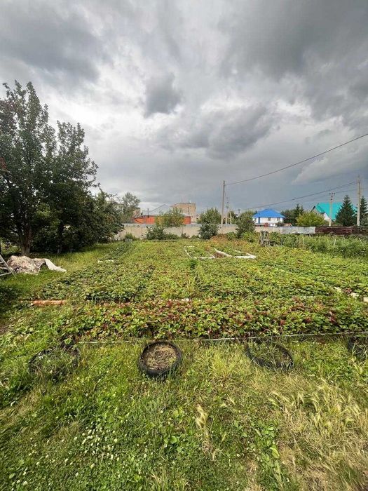 Продам Коттедж военный университет