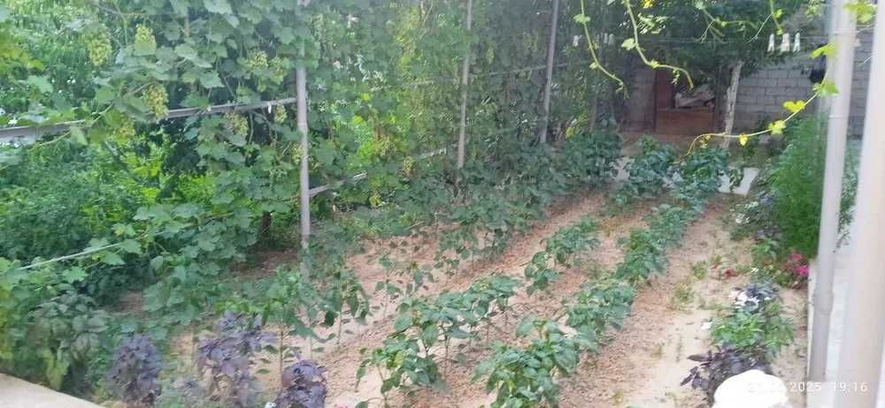 Срочно...Лайлак махалла 4.2 соток 5 хона